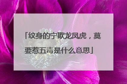 纹身的宁欺龙凤虎，莫要惹五毒是什么意思