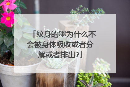 纹身的墨为什么不会被身体吸收或者分解或者排出?