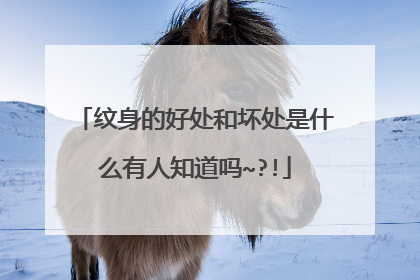 纹身的好处和坏处是什么有人知道吗~?!