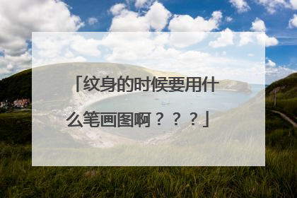 纹身的时候要用什么笔画图啊???