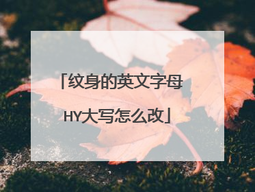 纹身的英文字母 HY大写怎么改