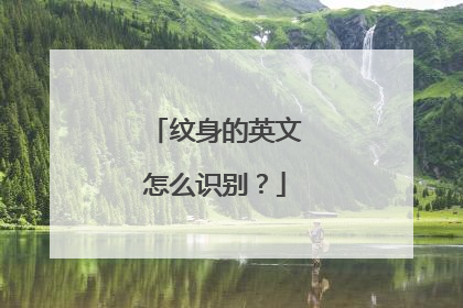 纹身的英文怎么识别？