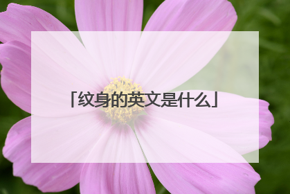 纹身的英文是什么