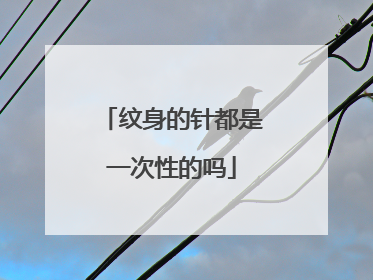 纹身的针都是一次性的吗