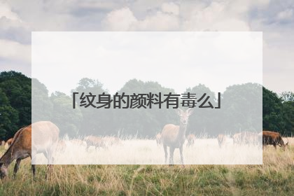 纹身的颜料有毒么