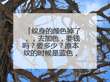 纹身的颜色掉了，，去加色，要钱吗？要多少？原本纹的时候是蓝色，可以换个颜色吗？？换