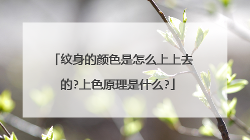 纹身的颜色是怎么上上去的?上色原理是什么?