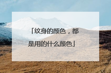 纹身的颜色，都是用的什么颜色