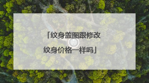 纹身盖图跟修改纹身价格一样吗