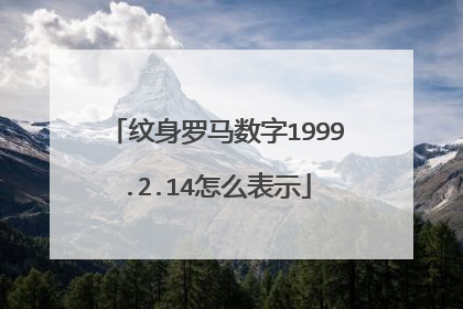 纹身罗马数字1999.2.14怎么表示