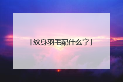 纹身羽毛配什么字