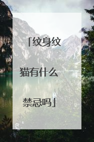 纹身纹猫有什么禁忌吗