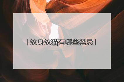 纹身纹猫有哪些禁忌