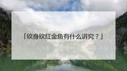 纹身纹红金鱼有什么讲究？