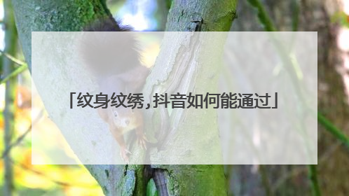 纹身纹绣,抖音如何能通过