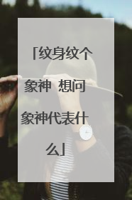 纹身纹个象神 想问象神代表什么