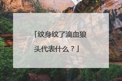 纹身纹了滴血狼头代表什么？