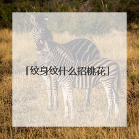 纹身纹什么招桃花