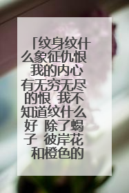 纹身纹什么象征仇恨 我的内心有无穷无尽的恨 我不知道纹什么好 除了蝎子 彼岸花 和橙色的百合还有什么