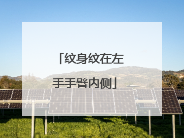 纹身纹在左手手臂内侧