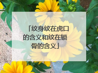 纹身纹在虎口的含义和纹在锁骨的含义