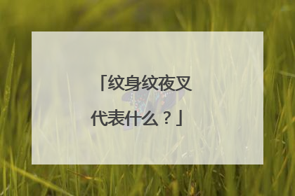 纹身纹夜叉代表什么?