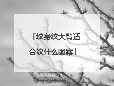 纹身纹大臂适合纹什么图案