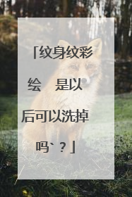 纹身纹彩绘  是以后可以洗掉吗`？