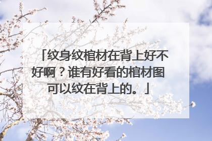 纹身纹棺材在背上好不好啊？谁有好看的棺材图可以纹在背上的。