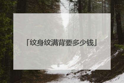 纹身纹满背要多少钱