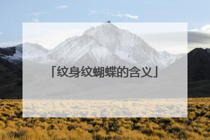 纹身纹蝴蝶的含义