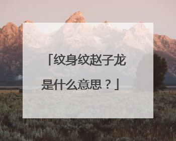 纹身纹赵子龙是什么意思？