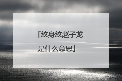 纹身纹赵子龙是什么意思