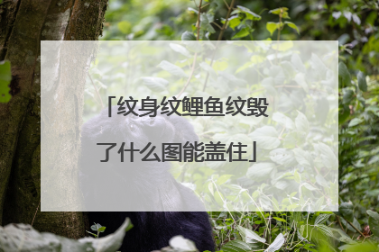 纹身纹鲤鱼纹毁了什么图能盖住