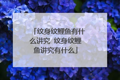 纹身纹鲤鱼有什么讲究 纹身纹鲤鱼讲究有什么