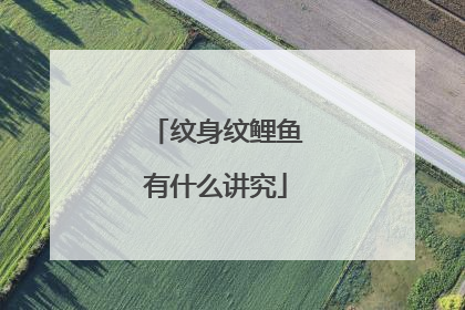 纹身纹鲤鱼有什么讲究