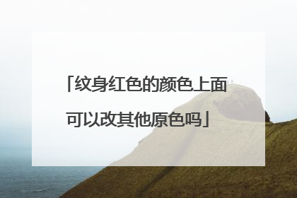 纹身红色的颜色上面可以改其他原色吗