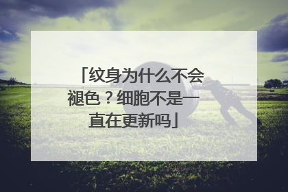 纹身为什么不会褪色?细胞不是一直在更新吗