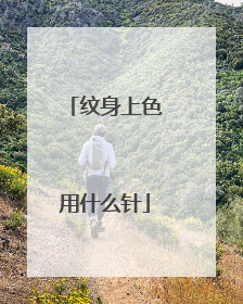 纹身上色用什么针