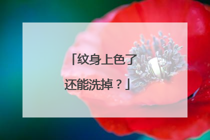 纹身上色了还能洗掉？