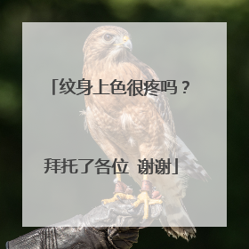 纹身上色很疼吗？拜托了各位 谢谢