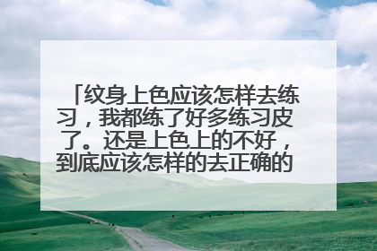 纹身上色应该怎样去练习,我都练了好多练习皮了。还是上色上的不好,到底应该怎样的去正确的练习上色打雾