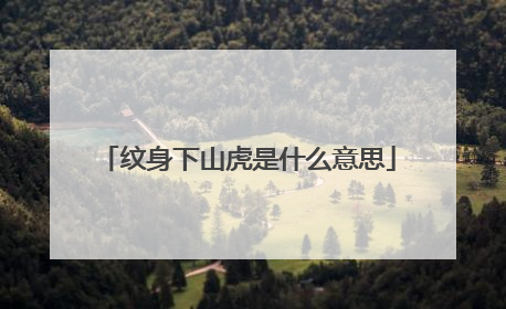 纹身下山虎是什么意思