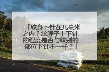 纹身下针在几毫米之内？纹脖子上下针的程度是否与纹别的部位下针不一样？