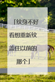 纹身不好看想重新纹盖住以前的那个