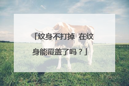 纹身不打掉 在纹身能覆盖了吗？