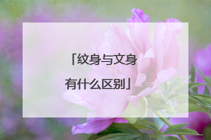 纹身与文身有什么区别