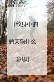 纹身中的鸦天狗什么意思