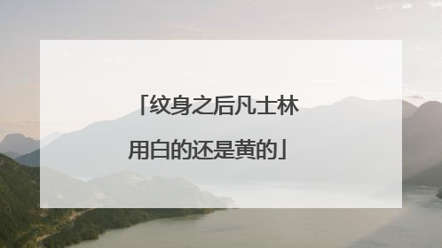 纹身之后凡士林用白的还是黄的