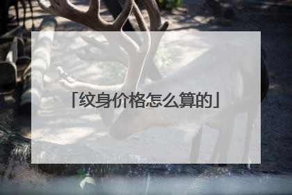 纹身价格怎么算的